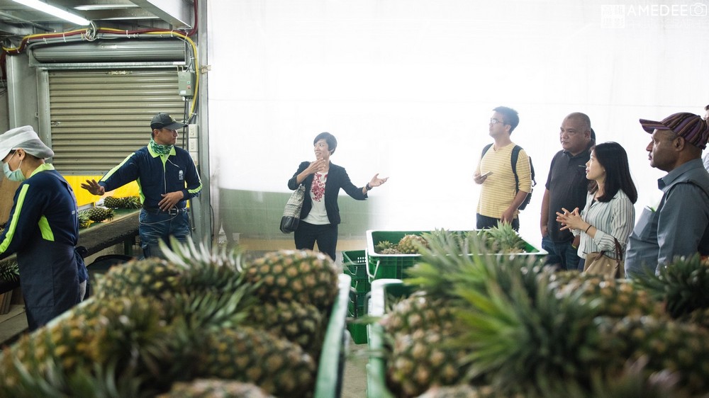 貿有展覽台灣國際蔬果展活動紀錄