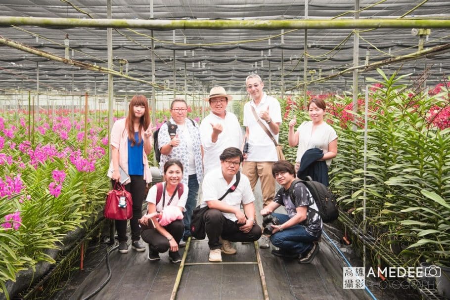 天使農場參觀蘭花園