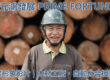 元鴻發展企業形象影片拍攝,高雄岡山木材工廠員工操作大型自動化生產設備